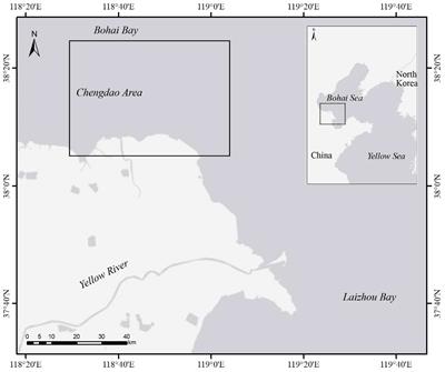 Risk zonation of submarine geological hazards in the Chengdao area of the Yellow River subaqueous delta